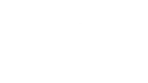 Apple Logo