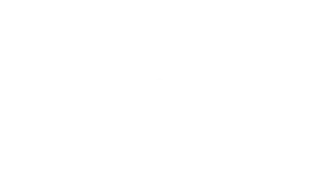 DELL LOGO
