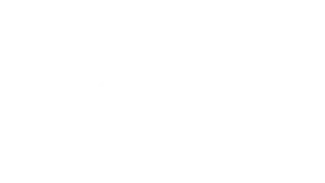 LENOVO LOGO