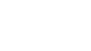 LEADER-WHITE