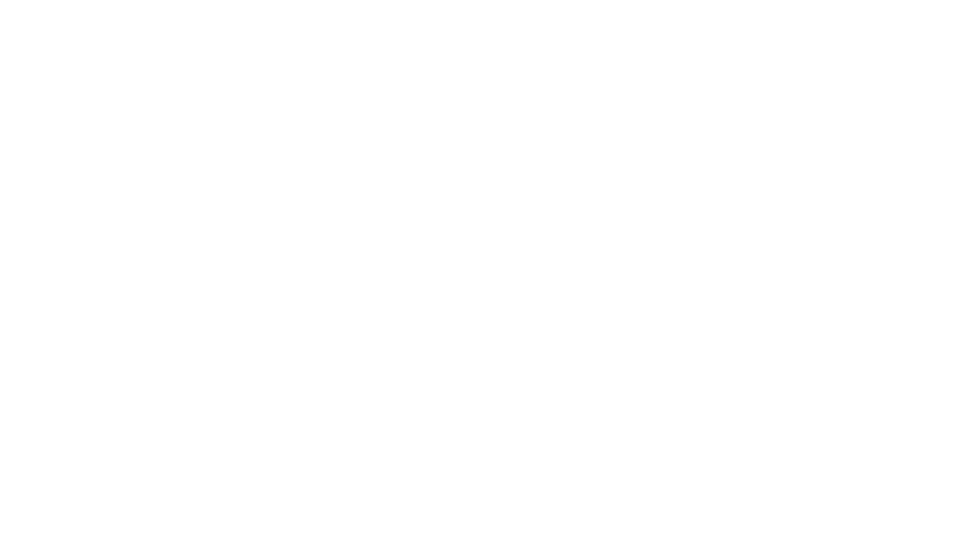 LEADER-WHITE